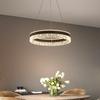 Modern Minimalist Ring Led Pendant Lights Dimmable for Table Dining Living Room Bedroom Chandelier Decor Indoor