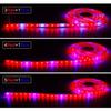 Светодиодный светильник для выращивания растений, полный спектр 1/2/3/4/5 м, светодиодная фитоламповая лента постоянного тока 12 В SMD 5050, лента для выращивания растений для цветов, гидропоника, Growbox