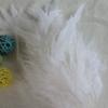 50Pcsdiy Feather 6-8 Size White Swimming Feather, Jewelry Accessories Dream Catcher Decoration