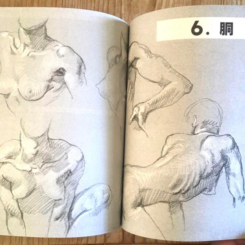 [ИСПОЛЬЗОВАННЫЙ] Рисунок фигуры 430 Разрезы Структура Основная схема скелета Объяснение Иллюстрация Обнаженная натура