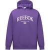 Reebok Модная повседневная удобная толстовка с капюшоном унисекс темно-фиолетового цвета 24FRM301UGP4