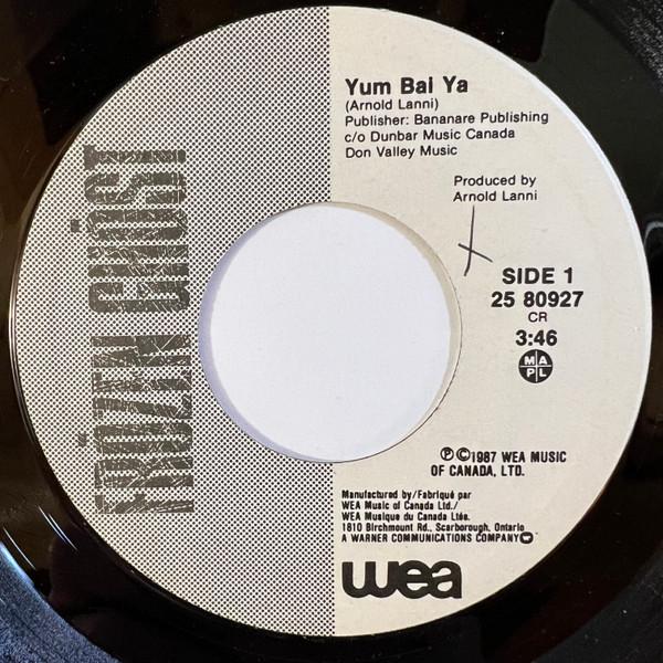 7-дюймовая пластинка FRZEN GHST Yum Bal Ya Love Like A Fire 2580927 WEA 1987 Канада Рок Б/у