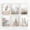 Neutral Beige Pampas Grass Botanical Nature Photography Nordic Poster Canvas Printing Wall Art Picture Home Farmhouse Decor