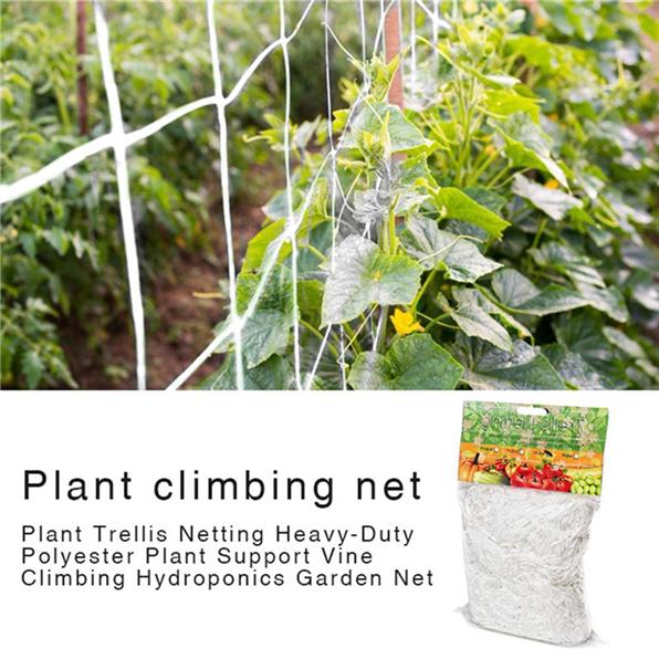 Polyester Mesh Net for Morning Glory Vine Flowers, Garden Plants, Climbing Net, Cucumber Vine Growing Stand