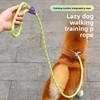 Petsafe Nylon Dog Traction Rope With Adjustable P Chain For Medium Large Dogs Outdoor Walks