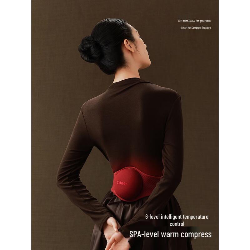 Zidian Smokeless Infrared Heating Waist Pad CN plug (adapter included)