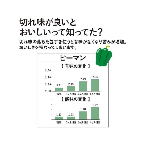 Kai KAI Combi Whetstone Set #400 #1000 Front/Rough Whetstone Back/Medium Whetstone with Grinding Head AP0305