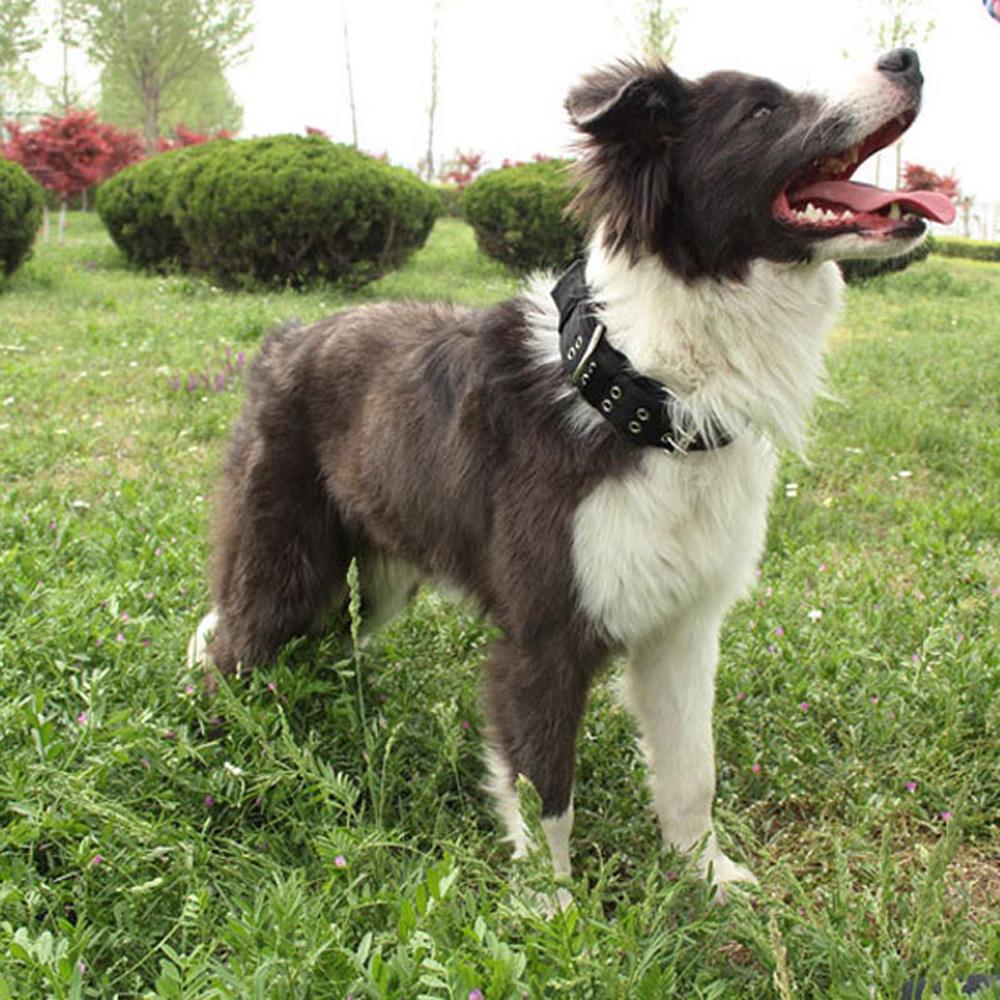 Для средних и больших собак утолщенный ошейник для тренировок на открытом воздухе, ожерелье с ремешком на шею, товары для домашних животных