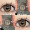MillCreek Color Contact Lens OMG Series 2pcs/1Pair Soft Eye Dia 14.0mm for Yearly Used OMG Brown/grey/green/purple