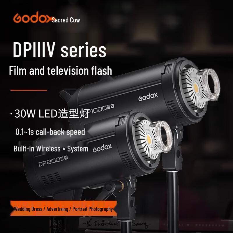 Godox DPIIIV-600W Studio Flash Kit