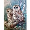 DIY Алмазная картина Полный алмаз животное Сова Алмазная вышивка Набор для вышивки крестом Украшение дома Настенное искусство Подарок