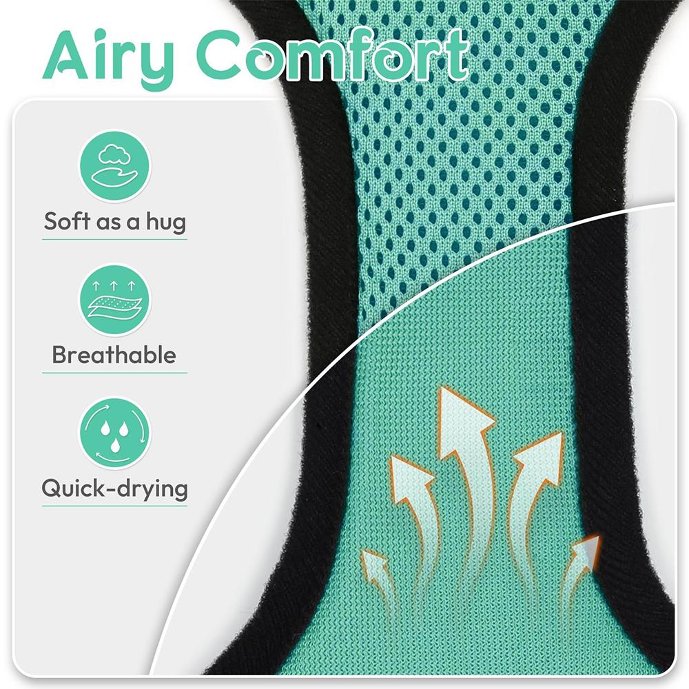 Cat Puppy Outdoor Walking Supplies Fashion Pet Harness And Leash Set For Small Dogs Cats Breathable Durable Kitten Harnesses