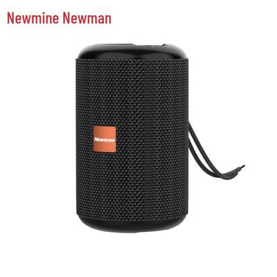 Портативная Bluetooth-колонка Newman BT32, штекер CN (адаптер в комплекте)