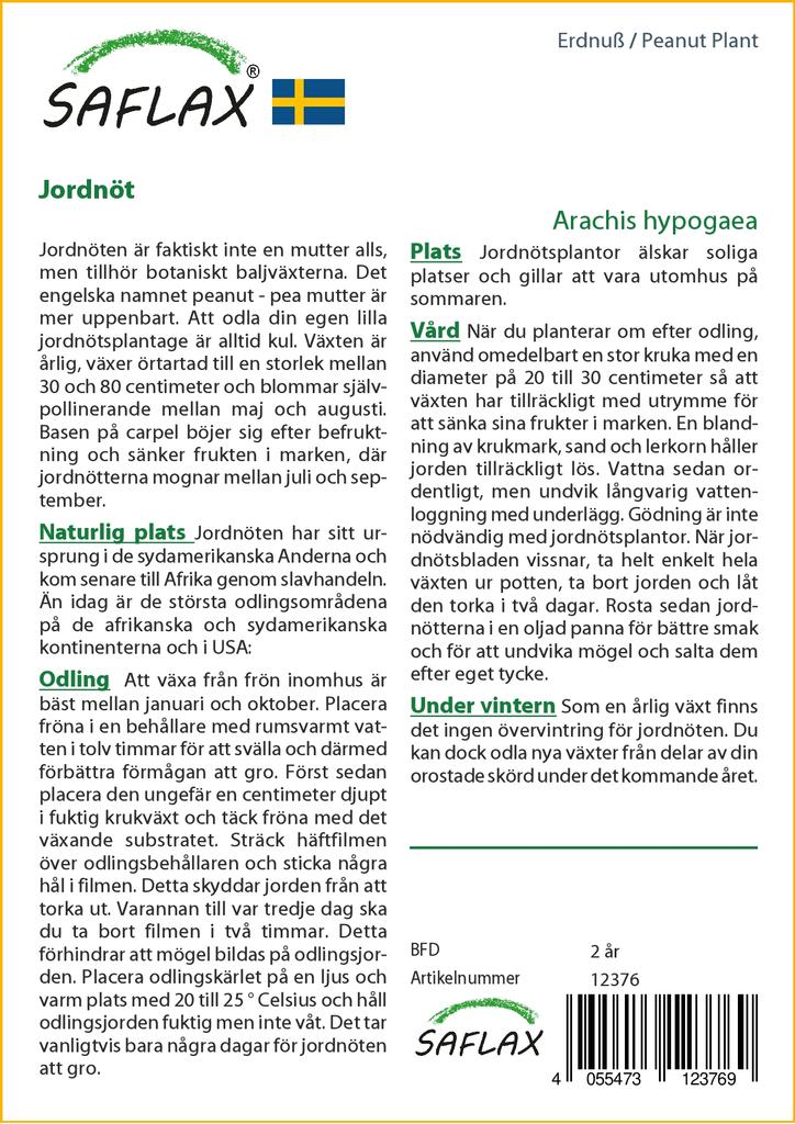 SAFLAX Арахисовое растение - 8 семян - Arachis hypogaea