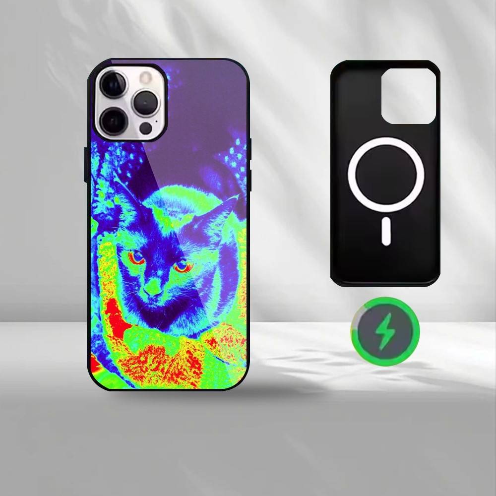 Термоизображения Чехол для телефона Для iPhone17,16,15,14,13,12,11 Max Черный Беспроводная зарядка Защитный чехол