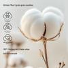 Хлопковый боди с длинным рукавом October Crystal Baby для мальчиков и девочек