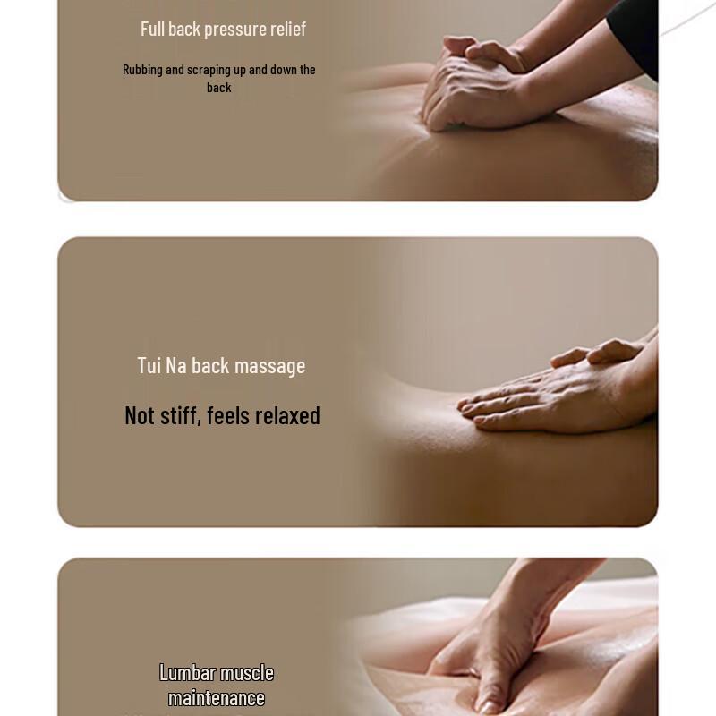 OGAWA Back and Waist Shiatsu Massage Pillow with Heat CN plug (adapter included)
