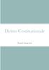 The Diritto Costituzionale Book