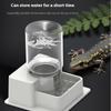 Reptile Water Bottle Automatic Water Feeder With Bottle For Tortoise Turtle Lizard Anti Drowning Water Dispense Pet Supplies