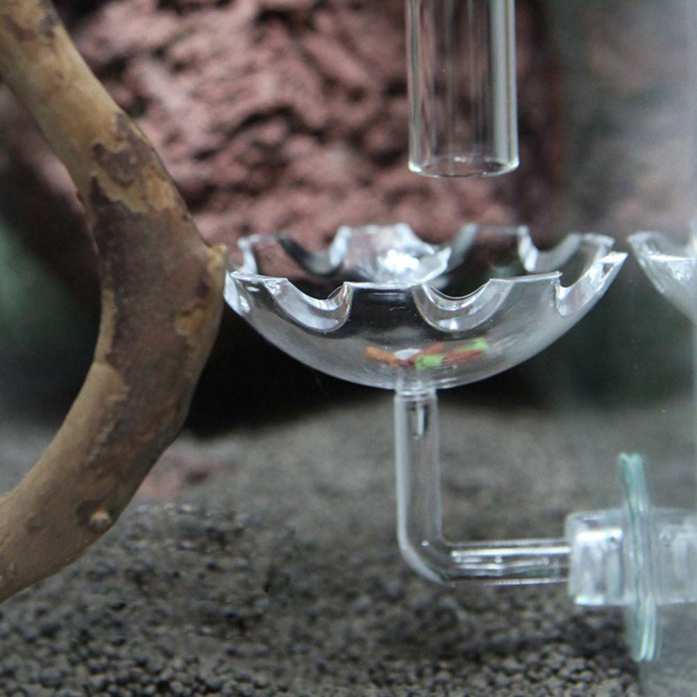 Аквариумная кормушка для креветок, акриловый нетоксичный прочный поддон для корма для рыб с присоской, принадлежности для аквариума