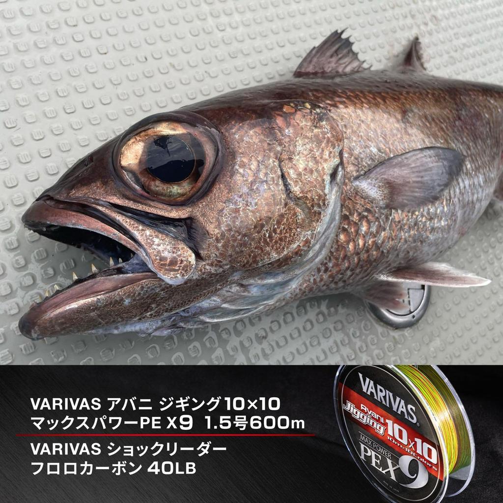 VARIVAS PE Line Avani Jigging 10x10 Max Power PE X9 300m 9-Strand #5