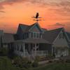 Creativity Owl Weather Vane Black Metal Wind Vane Outdoor Crafts Roof Garden Decorations Wind Indicator