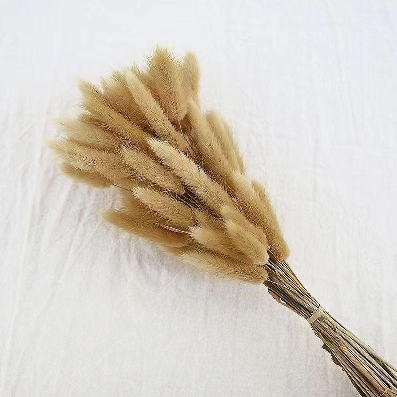 Preserved Rabbit Tail Grass Bouquet - DIY Dried Flower Decoration with Pampas Grass