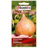 Onion Exhibition Vegetable Seeds 1g for the Garden