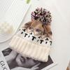 Warm Women Beanie Hats Windproof Cashmere Bonnets Fashion Winter Knitted Hats  Female