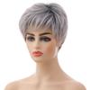 Short Silver-White Synthetic Wig for Women