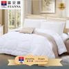 Zhenya Warm Core Comforter
