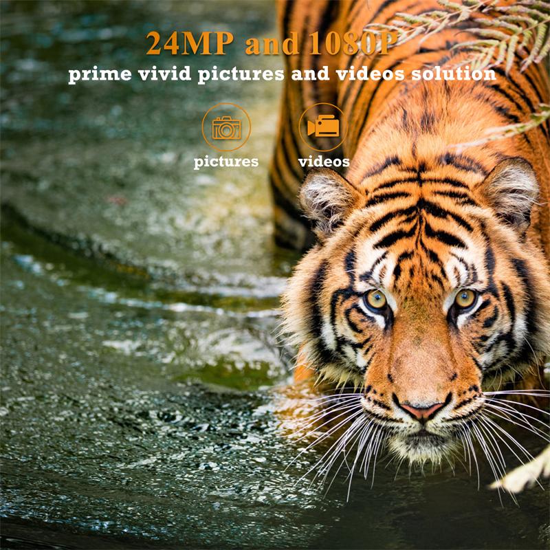 36-мегапиксельная наружная HD-камера слежения 2,7 К ИК-камера ночного видения IP66 Водонепроницаемая охотничья камера наблюдения за дикой природой