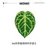 Acrylic Leaf Shape Coaster Heat Insulation Pad Home Decorative Placemat Table Cup Mat Desk Accessories Anti-scald Coffee Mat