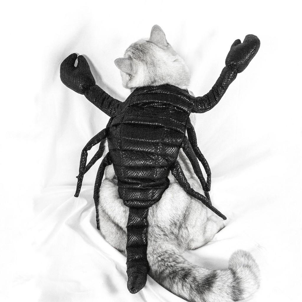 Unique Halloween Pet Costume Funny Scorpion King Outfit For Cats And Dogs Black Cloth