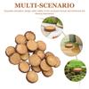 20 шт. Миниатюрные пеньки из смолы для микро-ландшафтного сада, миниатюрные камни-ступеньки для сказочного сада, бонсай, террариума, декор для сада на открытом воздухе
