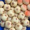 Хрустящий Мягкий Картофельный Ручной работы Шарик Хрустящий Звук Сжимаемая Игрушка Круглые Блоки Наполненные Снятие Стресса Игрушка-антистресс Фестивальные Подарки Взрослый