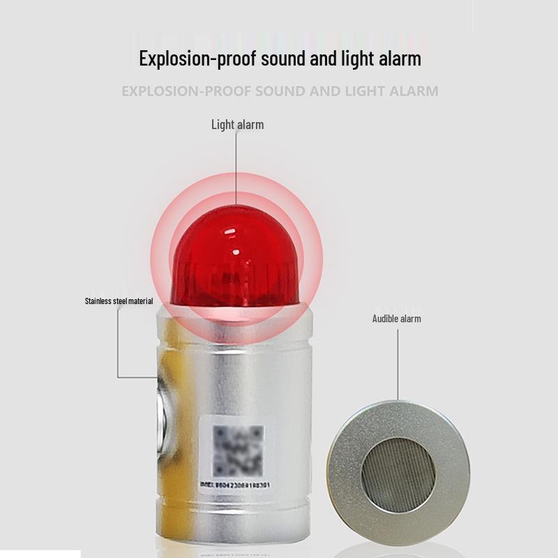 Commercial LPG Leak Detector with Automatic Shut-off Valve for Restaurants