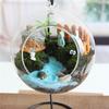 Resin Small Cartoon Turtle Miniature Diy Garden Decor For Home And Office Use