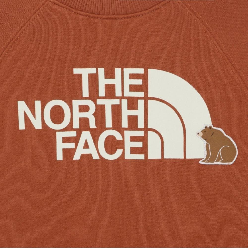 The North Face Детская анимированная толстовка темно-оранжевая Nm5mr55t