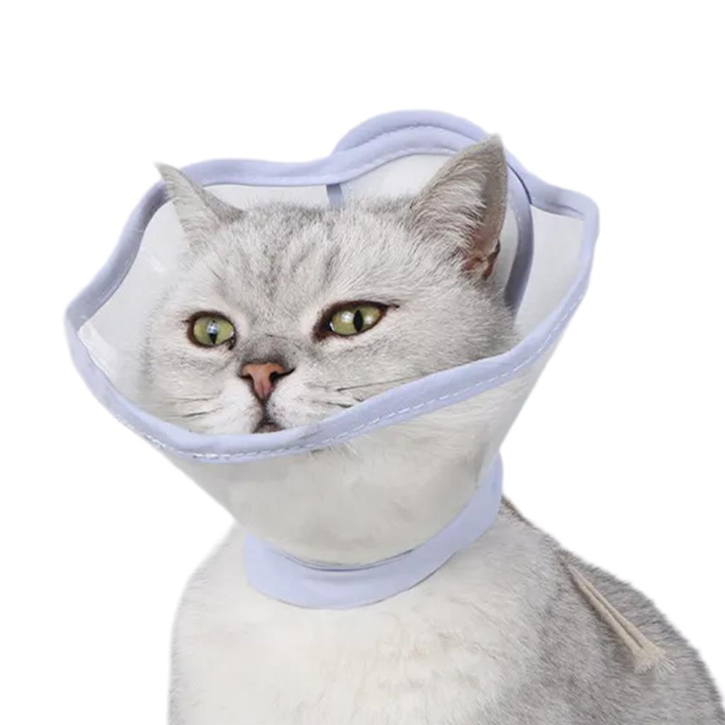 Delicate Transparent Recovery Collar Ensuring Comfort and Protections for Cats Dogs Postoperative Care & Injury Recovery