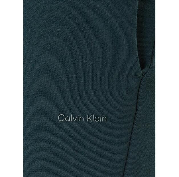 Шорты спортивные Calvin Klein Nano Logo