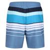 Regatta Mens Loras Striped Swim Shorts