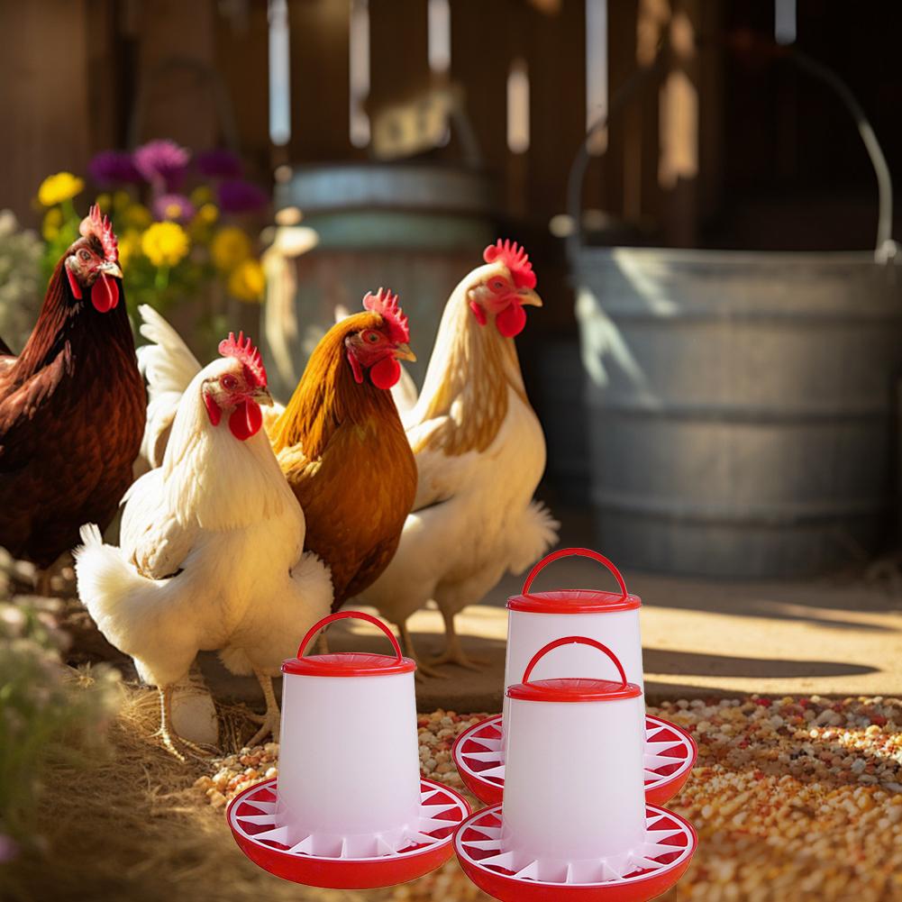 1КГ Автоматическая кормушка для кур Ведро Петух Курица Кормление Сельскохозяйственное животное Устройство, Принадлежности Птица Qu G2E3