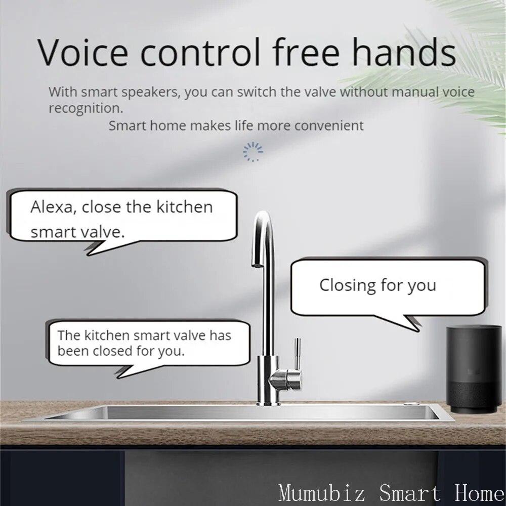 eWelink APP WiFi Smart Valve DN15 /DN20 /DN25 Smart Water / Gas Shutoff Automated Ball Valve Wireless Control Alexa Compatible