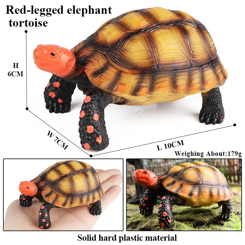 Oenux Модель Морские Животные Кожистая Черепаха Черепаха Цикл Роста Океанские Фигурки Фигурки Действия ПВХ Коллекция Игрушка для Детей Подарок