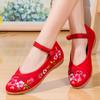 2024 New Spring and Autumn Summer Casual Women's Flat Shoes Casual Embroidery Ladies Shoes