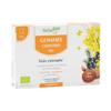 Herbalgem Macérat Concentré Gomme Chantres Bio 24 Gommes