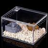Transparent Acrylic Reptile Breeding Box for Spiders Lizards Amphibians Leakproof Pet Habitat Arboreal Wolf Spider Enclosure