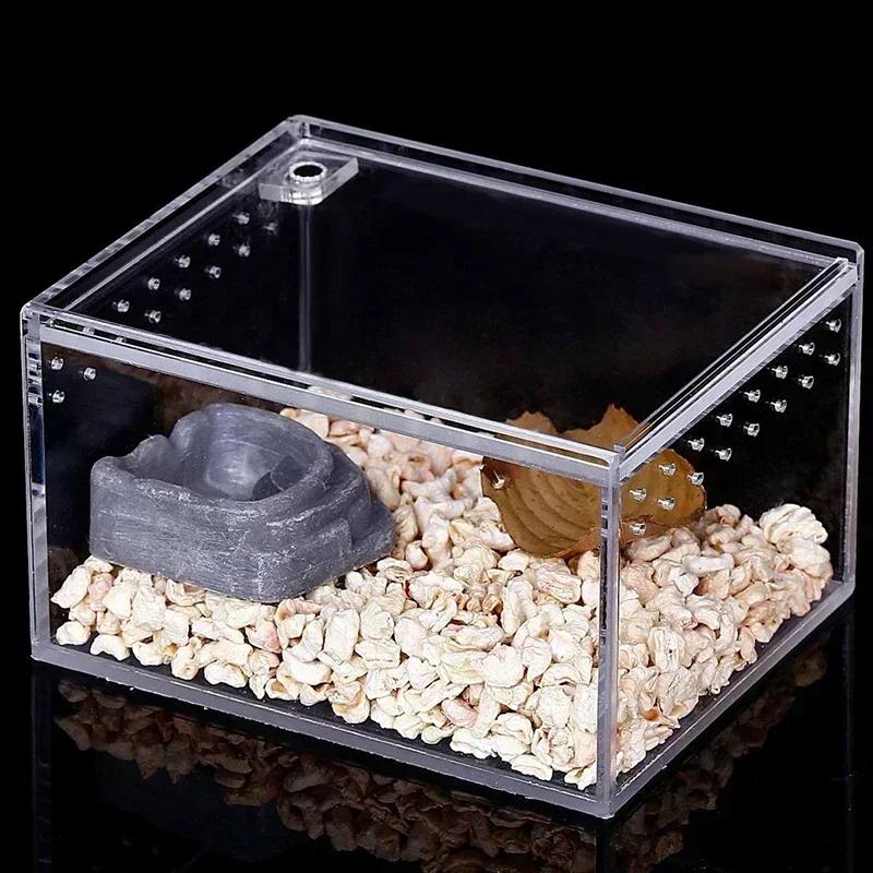 Transparent Acrylic Reptile Breeding Box for Spiders Lizards Amphibians Leakproof Pet Habitat Arboreal Wolf Spider Enclosure