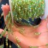 1 метр Браслетные цепочки из нержавеющей стали с зелеными хрустальными бусинами для изготовления ювелирных изделий DIY Блестящие цепочки для ожерелий Поставки